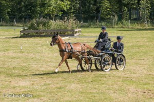 dressuur en vaardigheid  nienoord 10-8-2015  joshua keller-0025      